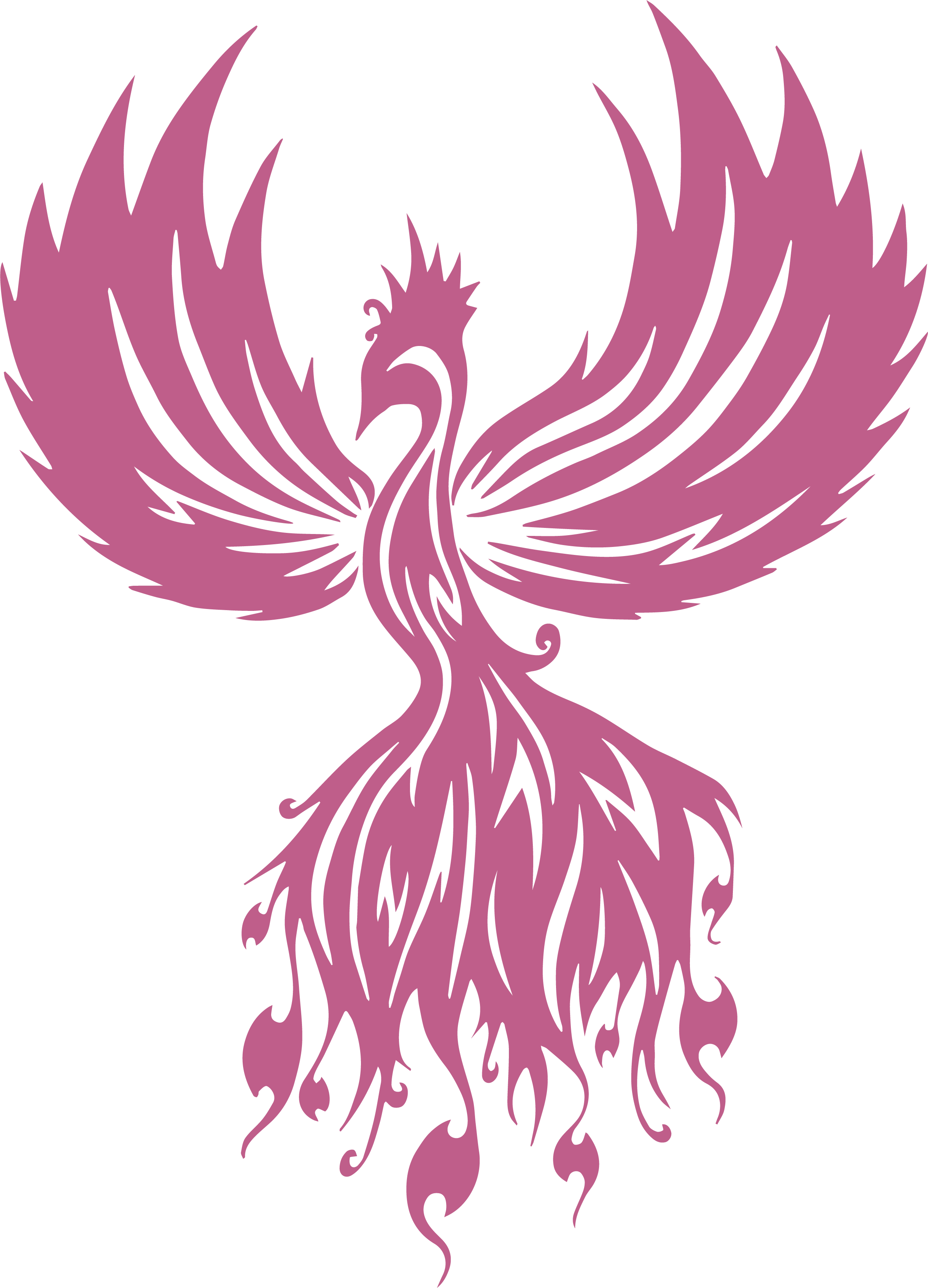 Icono de Fenix
